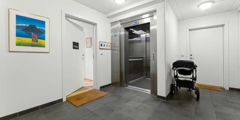 Home elevator with standard finishes
